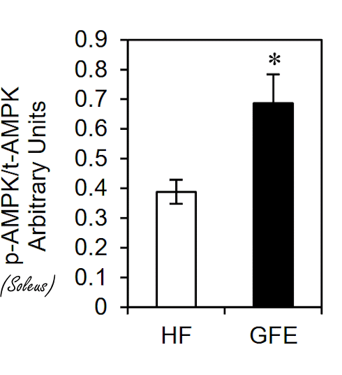 Maitake is a PPAR-delta agonist - just like cardarine