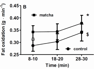 Matcha increases fat oxidation, reduces carbohydrate oxidation during moderate physical activity