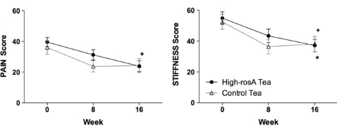 Worn knee joint? Drink two cups of mint tea a day