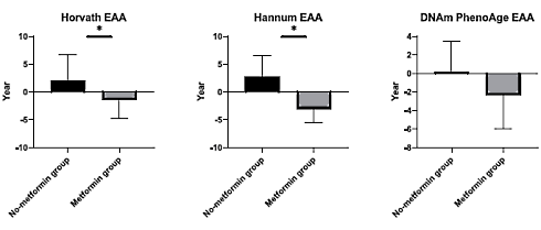 The diabetes drug metformin may be slowing the rate at which people age. People in their seventies who take metformin are at least a few years younger on a molecular level than their peers who do not take metformin.