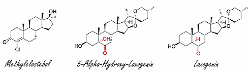 What you should know about supplements with 5-alpha-hydroxy-laxogenin