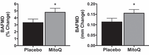 Improved Q10 analogue MitoQ rejuvenates old blood vessels in human study