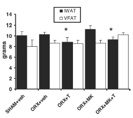 Combined with DHT blocker testosterone is still anabolic