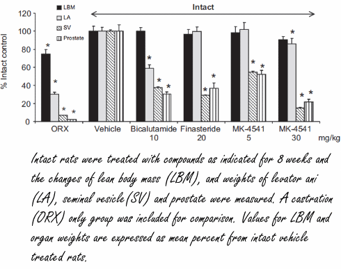 MK-4541: a SARM that makes muscles stronger and kills cancer cells