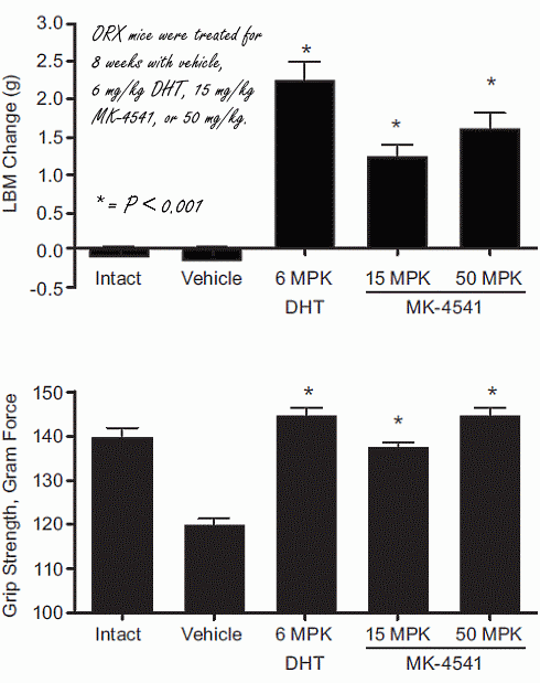 MK-4541: a SARM that makes muscles stronger and kills cancer cells