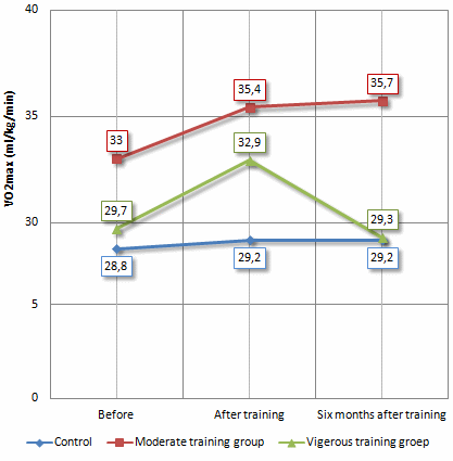 Why intensive cardio training usually doesn't work