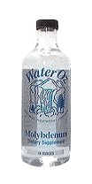 Molybdenum lowers testosterone level