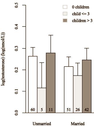 Women with children have less testosterone