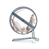 Whey improves endurance athletes' stamina