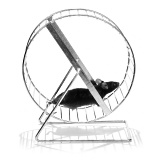 Low-intensity cardio stimulates muscle growth through strength training, high-intensity cardio does not