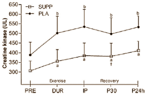 The combined effect of taking supplements before, during and after your workout