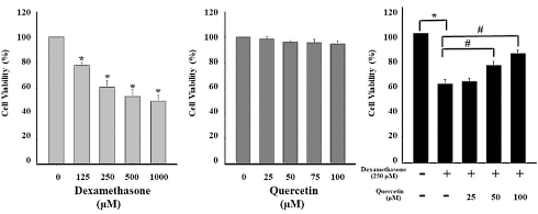 Quercetin prevents stress hormone cortisol from breaking down muscle cells