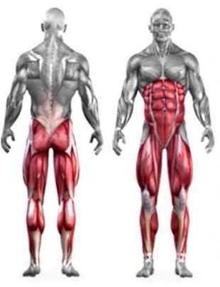 Changing the position of the bar turns the back squat into another exercise