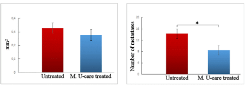 These medicinal mushrooms inhibit triple-negative breast cancer