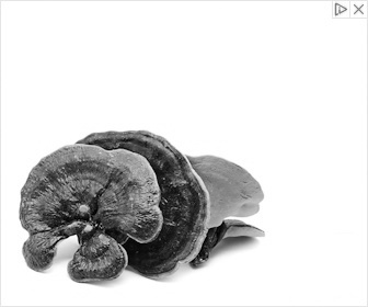 Mushrooms