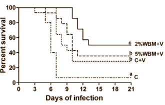 If you eat 120  150 g white button mushrooms every day your immune system learns to recognise pathogens faster, and this makes vaccines more effective. An animal study published by the American USDA in the Journal of Nutrition suggests this, but also notes that the positive effect of white button mushrooms disappears if you eat too many.