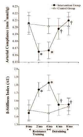 Strength training stiffens arteries