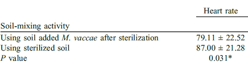 Soil bacterium Mycobacterium vaccae relaxes you within five minutes