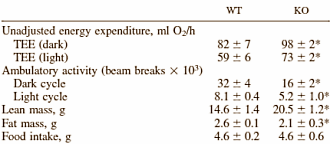 Myostatin blockers break down fat reserves too