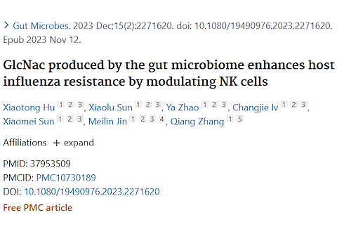 Supplementation with N-acetyl-D-glucosamine activates NK cells against influenza viruses