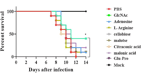 Supplementation with N-acetyl-D-glucosamine activates NK cells against influenza viruses
