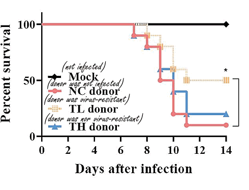 Supplementation with N-acetyl-D-glucosamine activates NK cells against influenza viruses