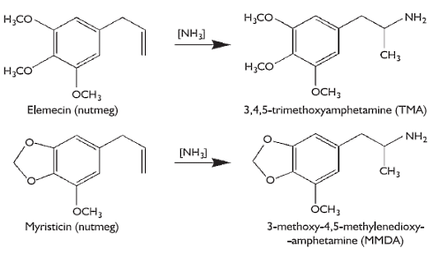 Do dietary amphetamines play a role in the Christmas feeling?