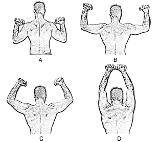 For the perfect neck-press use dumbbells