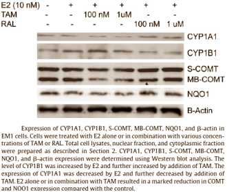 Why raloxifene is safer than tamoxifen