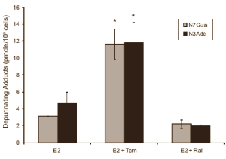 Why raloxifene is safer than tamoxifen