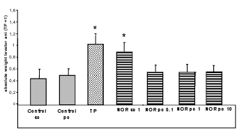 Norandrostenedione: injections work, pills don't