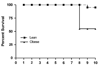 Too much body fat makes influenza deadlier