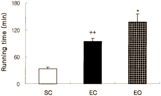 Animal study: octacosanol is an endurance sports supplement