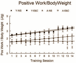 Animal study: vitamin C and E good for older strength athletes