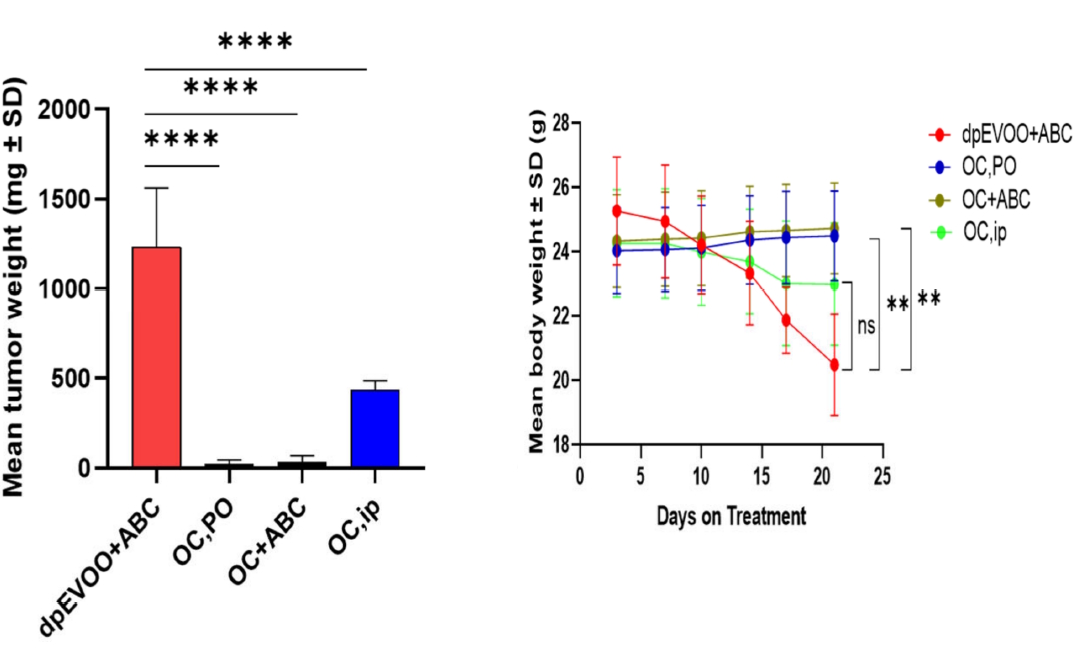 Oleocanthal, a phenol in olive oil, inhibits a fairly aggressive type of colon cancer in a way that left us speechless. This is evident from an American animal study published in Nutrients. It is extremely rare for a nutrient to reduce tumor growth by nearly 99 percent in laboratory animals.