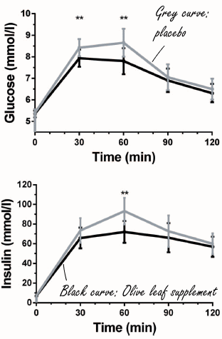 Human study: olive leaf supplement increases insulin sensitivity