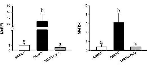 Oligonol, a muscle-building supplement based on lychees