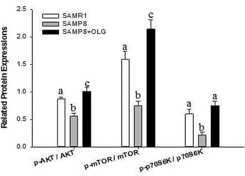 Oligonol, a muscle-building supplement based on lychees
