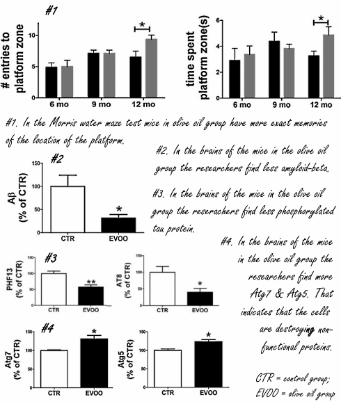 Virgin olive oil may offer protection against dementia
