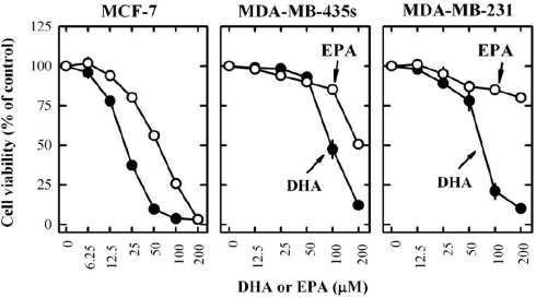 Omega-3 fatty acids sabotage breast cancer cells by boosting free radicals
