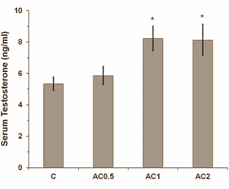 Onion juice: helps boost rats' testosterone, has pro-sexual effect