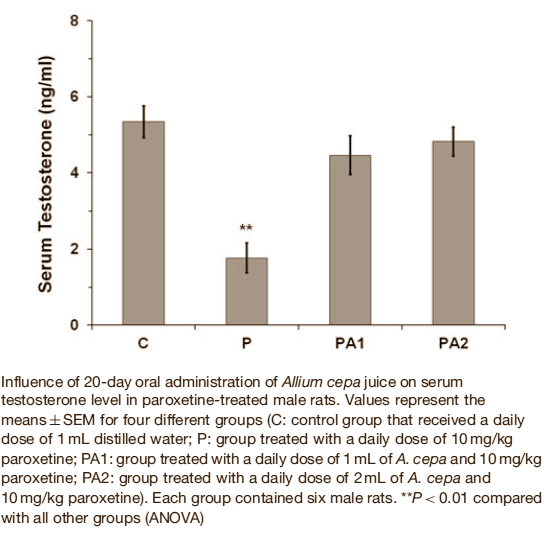 Onion juice helps boost rats' testosterone, has prosexual effect