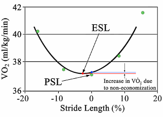 Will you become a better runner if your paces are bigger or smaller?