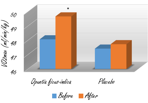 Cactus juice makes you fitter