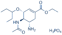 Echinacea purpurea better flu virus inhibitor than oseltamivir