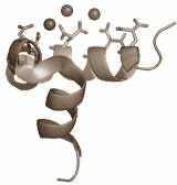 A low body fat percentage, strong bones and high testosterone levels are linked, according to endocrinologists at the University of Rome who studied 86 overweight men. Their article in the International Journal of Endocrinology confirms the increasingly popular theory that the state of the skeleton partially determines the amount of testosterone circulating in men's (and probably also women's) bodies.