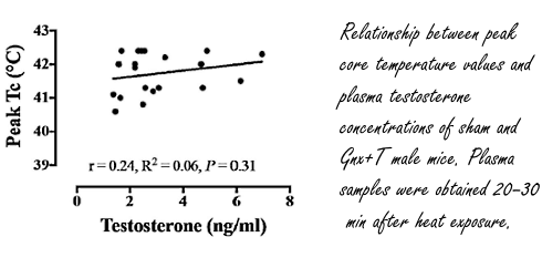 Steroid user more vulnerable to heat: animal study