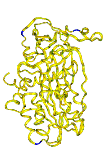 How fish oil can help bodybuilders gain muscle mass