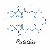 Pantethine treatment reduces visceral fat and fatty liver