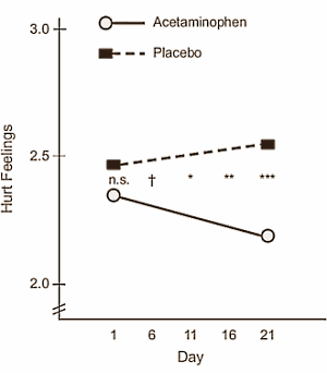 Men and women of seventy who do weight training build up more muscle and power if they use painkillers like 
ibuprofen or acetaminophen. Researchers from Ball State University reported this during the Experimental Biology 2008 congress on April 6 in San Diego.